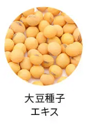 ユンス炭酸パック成分の大豆種子エキス
