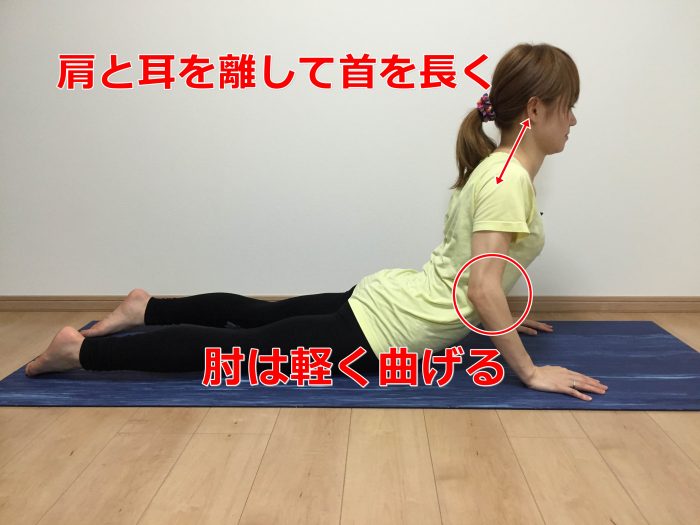 コブラのポーズ③