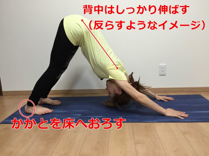 犬のポーズ③